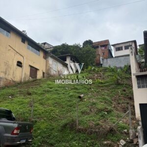 Lote - Galego